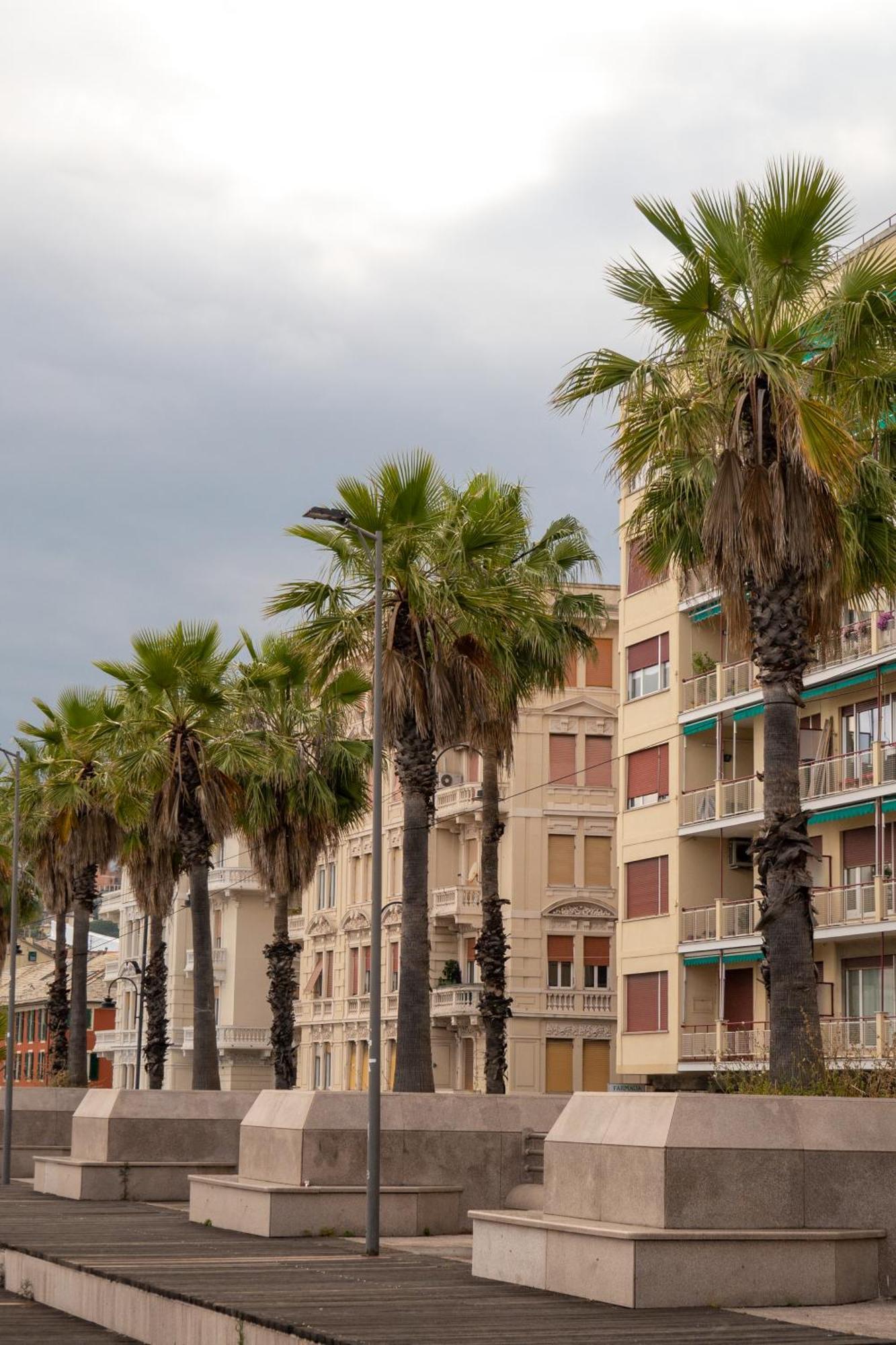 Paradiso Garden Apartment Genua